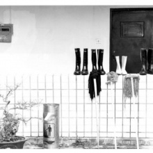 Bild AKELEI SELL: STILL IN MY MIND