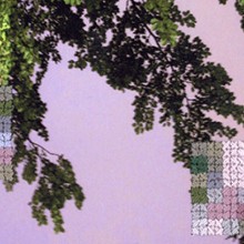 Bild FLOWERS AND TREES