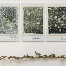 image Workshop for children: Handmade with Fujifilm Instax