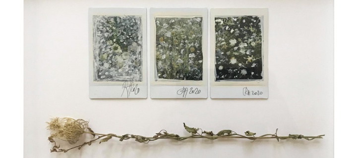 image Regina Anzenberger 