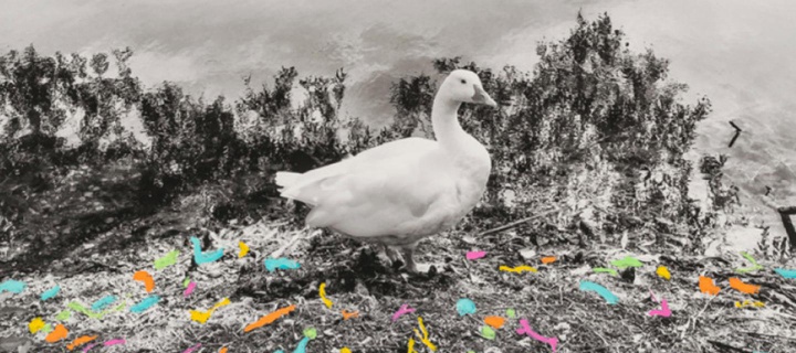 image Regina Anzenberger / AnzenbergerGallery 