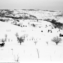 Bild THE CHRISTMAS SHOW