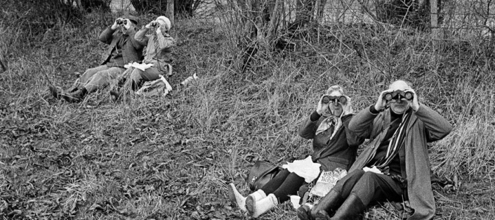 image © Martin Parr, Surrey Bird Club, Surrey, England,  