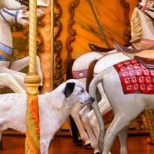 Bild 30 Jahre Anzenberger - Auktion und Party