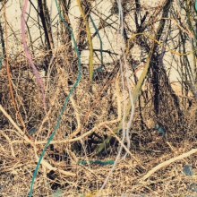 Bild Regina Anzenberger: Durchatmen