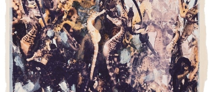 image Regina Anzenberger 