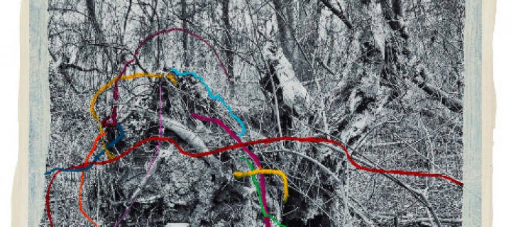 image Regina Anzenberger 