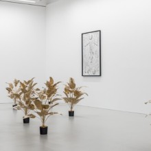 Bild Bildraum Studio