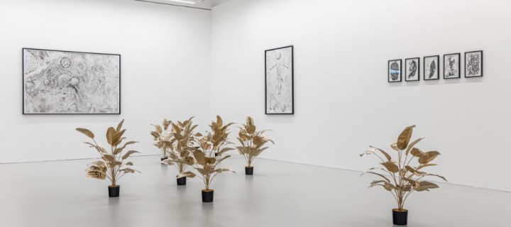 image Foto: Eva Kelety © Bildrecht, Wien 2024 