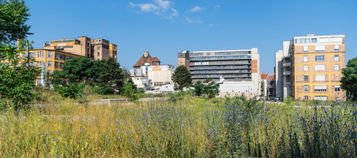 image © Klaus Pichler/Anzenberger/Brotfabrik Wien 