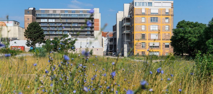 image © Klaus Pichler/Anzenberger/Brotfabrik Wien 