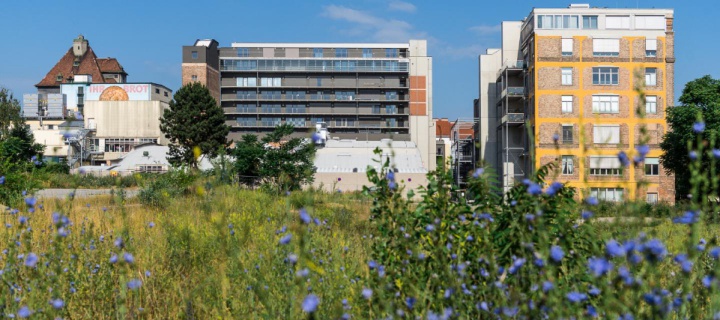 image © Klaus Pichler/Anzenberger/Brotfabrik Wien 