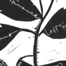 Bild NOIR CLUB NIGHT #3