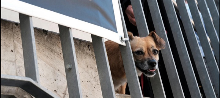 image Cosima Terrasse 