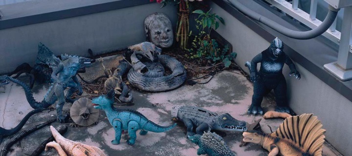 image © Nobuyoshi Araki / OstLicht. Galerie für Fotograf 