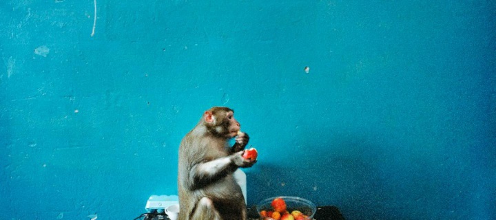 image Eve Arnold, Reiner Riedler 