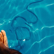 Bild OSTLICHT SELECTION