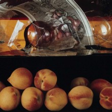 Bild POLAROID STILL LIFES