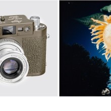 Bild OstLicht Camera & Photo Auction at Fotografiska Museum Shanghai